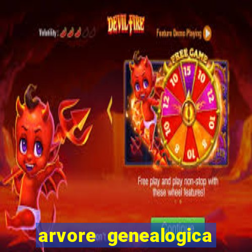 arvore genealogica dos gracie